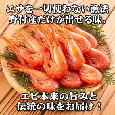 【訳あり】【たっぷり約100尾!】北海しまえび1kg 北海道野付産【数量限定】 シマエビ