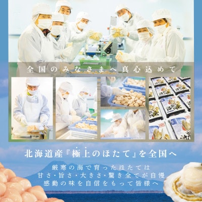 【チャック付袋で便利!】 刺身用 ほたて貝柱 500g 北海道野付産 かんたん美味しい ふるさと納税