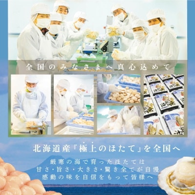 【3Dフリーザー冷凍】刺身用ほたて貝柱500g 北海道野付産 天然大粒 15玉前後入 冷凍 海鮮