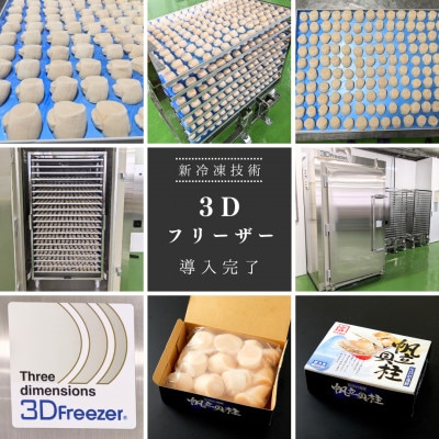 【3Dフリーザー冷凍!】刺身用 ほたて貝柱 800g (約20玉-30玉入) 北海道野付産 冷凍