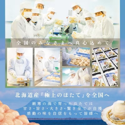 【希少なジャンボホタテ】LL-Lサイズ ほたて貝柱500g 刺身用 北海道別海町ならではの大玉