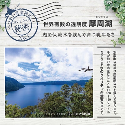 【北海道別海町産】べつかいの牛乳屋さん 1L×6本入