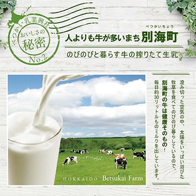 【北海道別海町産】べつかいの牛乳屋さん 1L×6本入
