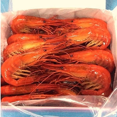 【珍宝】野付産北海シマエビ500gと鮭切り身800gセット