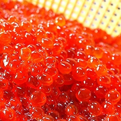 【珍宝】いくら醤油漬け500gと北海しまえび1kgのご褒美セット(計1.5kg)
