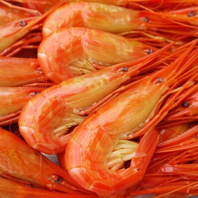 【珍宝】いくら醤油漬け500gと北海しまえび1kgのご褒美セット(計1.5kg)