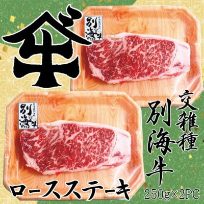 【ご馳走】北海道別海牛ロースステーキ用　250g×2パック