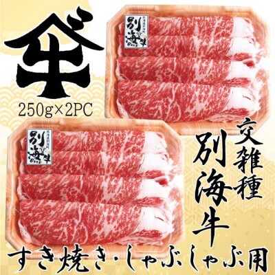 別海牛ロース500g すき焼き・しゃぶしゃぶ用 小分け250g×2パック 冷凍 北海道産牛肉スライス