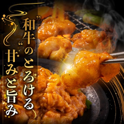 【希少】黒毛和牛ホルモン 1.2kg 焼肉用 小腸メイン ミックス 特製味噌だれ 国産牛肉 冷凍