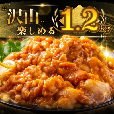 【希少】黒毛和牛ホルモン 1.2kg 焼肉用 小腸メイン ミックス 特製味噌だれ 国産牛肉 冷凍