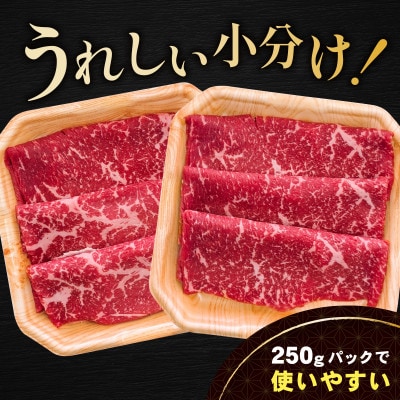 別海牛 赤身スライス 500g(250g×2) すき焼き・しゃぶしゃぶ用セット 訳あり北海道産牛肉