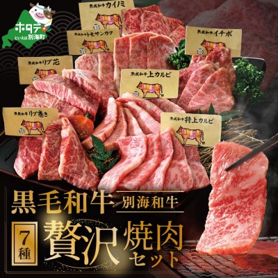 黒毛和牛 豪華 焼肉 盛り合わせ7種 計700g小分け 人気部位 カルビ ロース 赤身 セット