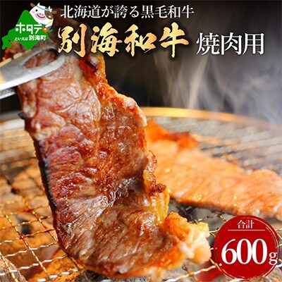 2023年8月発送開始『定期便』黒毛和牛600g 焼肉用 北海道別海町産【別海和牛】全2回