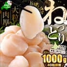 【緊急支援品】訳あり ほたて貝柱 1kg 北海道産 生食用 刺身  冷凍『ホタテといえば別海町』
