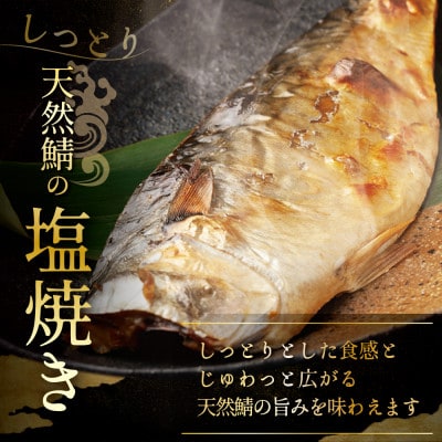 訳あり 北海道産 塩サバ 4kg 小分け 無添加・国産サバフィレ ホイル焼きが美味しい天然鯖