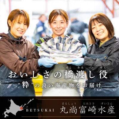 訳あり 北海道産 塩サバ 4kg 小分け 無添加・国産サバフィレ ホイル焼きが美味しい天然鯖