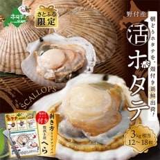 【緊急支援品】活ホタテ中サイズ 3kg前後/12~18枚入　北海道野付産 食べ応え抜群朝どり新鮮出荷