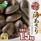【さとふる限定】大粒天然あさり 1.5kg前後 (40～80粒) 北海道野付産　砂出し済み
