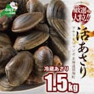 大粒天然あさり 1.5kg前後 (40～80粒) 北海道野付産　砂出し済み