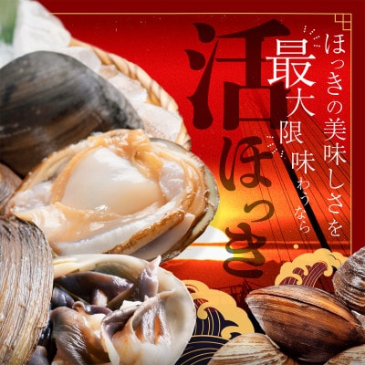 活ホッキ貝 2.5kg　北海道 野付産