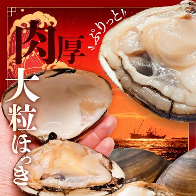 活ホッキ貝 2.5kg　北海道 野付産