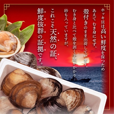 活ホッキ貝 2.5kg 北海道 野付産 | 北海道別海町 | ふるさと納税サイト