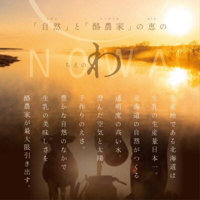 2024年4月発送開始『定期便』別海町産生乳アイスクリーム業務用2L【エキストラミルク】隔月全3回
