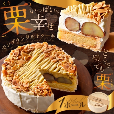 【贅沢ケーキ2種 食べ比べセット】ドゥーブルフロマージュ & 栗いっぱいモンブラン 濃厚チーズケーキ