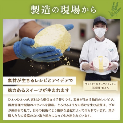 2023年12月発送開始『定期便』ドゥーブルフロマージュ(チーズケーキ) 12cm×1台 全12回
