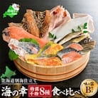 北海道産 海鮮 干物 詰め合わせ 8種食べ比べ 一夜干し 味の笛Bセット サクラマス ホッケなど人気