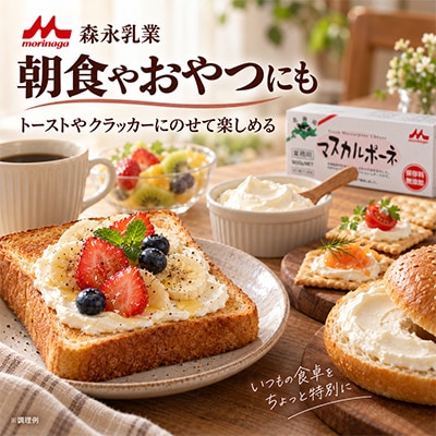 【業務用】マスカルポーネチーズ 900g 【森永乳業】北海道別海町製造 ティラミスやサンドイッチに◎