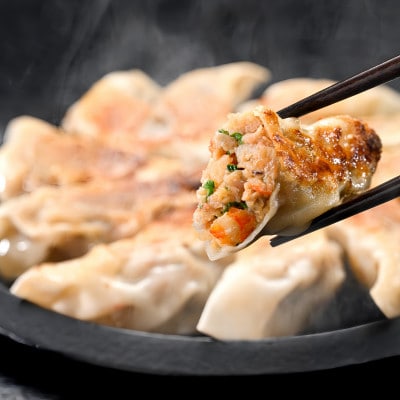【餃子3種 食べ比べ】北海道産 旨みたっぷり 北海シマエビ餃子+ホタテ餃子+旨味だし餃子計3パック