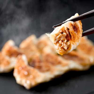 【餃子3種 食べ比べ】北海道産 旨みたっぷり 北海シマエビ餃子+ホタテ餃子+旨味だし餃子計3パック