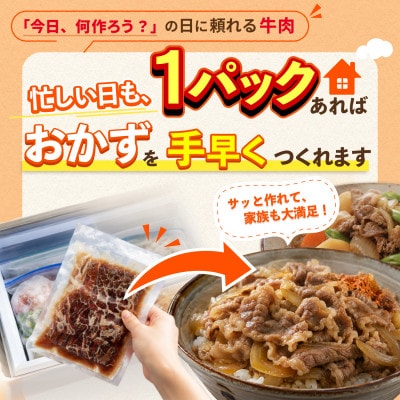 旨みだし仕立て 牛肉 1kg(250g×4) 北海道別海町産 薄切り 切り落とし 小分け 冷凍