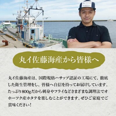 2023年2月発送開始『定期便』厳選 オホーツク産 ホタテ大 冷凍 800g 隔月全4回