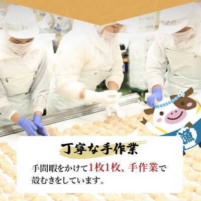 2022年12月発送開始『定期便』厳選 オホーツク産 ホタテ大 冷凍 1.6kg 全6回