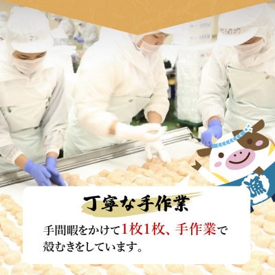 2023年2月発送開始『定期便』厳選 オホーツク産 ホタテ大 冷凍 1.6kg 全5回