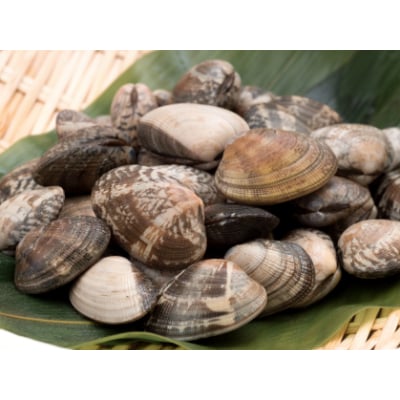北海道別海町産アサリ 大 約3kg(80～130粒)
