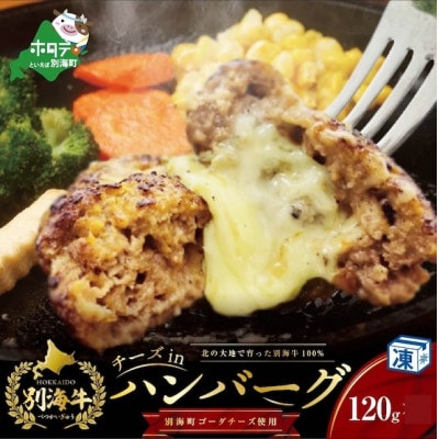 別海チョップドインハンバーグ(100g×6個)と別海チーズインハンバーグ(120g×6個)セット