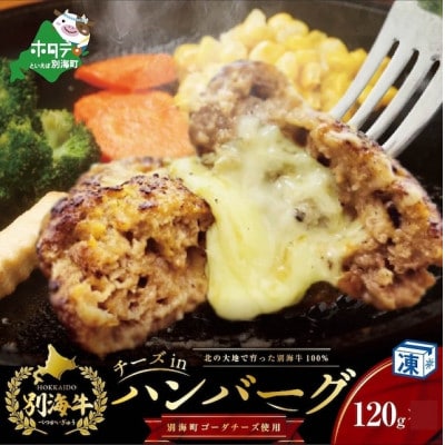 【毎月定期便】チーズがとろける!別海チーズインハンバーグ(120g×15個)全6回