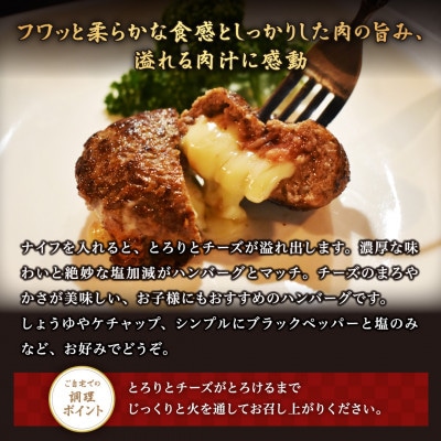 【毎月定期便】チーズがとろける!別海チーズインハンバーグ(120g×15個)全6回