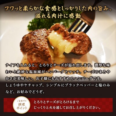 【毎月定期便】チーズがとろける!別海チーズインハンバーグ(120g×15個)全10回
