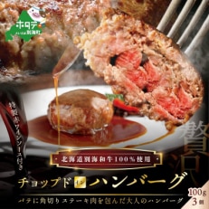 2023年5月発送開始『定期便』別海牛チョップドインハンバーグ100g×3個 特製ソース付全12回