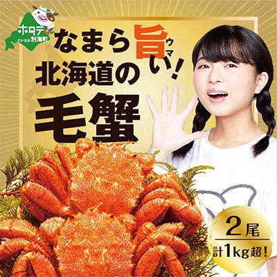 新物!朝採れ 浜ゆで オホーツク産 大 毛ガニ 冷凍 2尾(合計1kg以上!)【ふるさと納税】