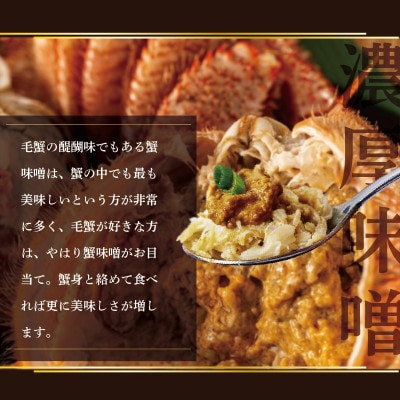 新物!朝採れ 浜ゆで オホーツク産 大 毛ガニ 冷凍 2尾(合計1kg以上!)【ふるさと納税】