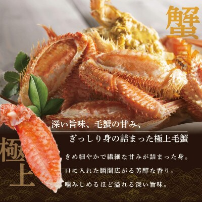 新物!朝採れ 浜ゆで オホーツク産 大 毛ガニ 冷凍 600g前後× 1尾【ふるさと納税】