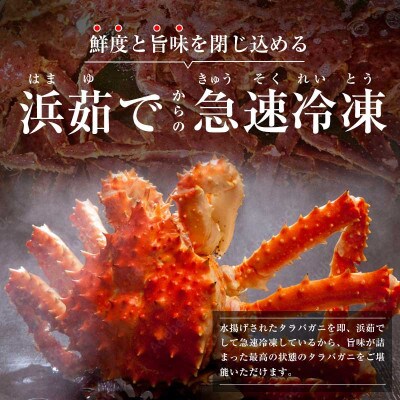新物!タラバガニ浜ゆで急速冷凍旨味凝縮(1.6kg～2.0kg) × 7尾【 ふるさと納税 】