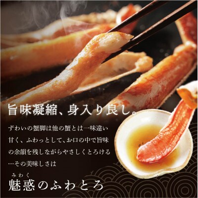新物 ズワイガニ ボイル 姿 冷凍 700g～900g×4尾【ふるさと納税】