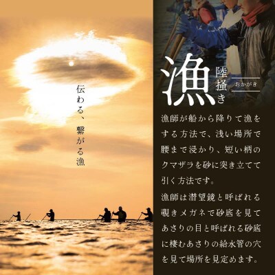 北海道別海町産 大粒 冷凍あさり 約1.5kg(約300g×5袋)