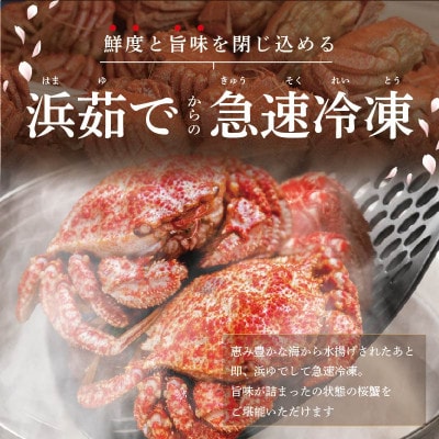 北海道別海町産 桜蟹(トゲクリガニ)オス4～5尾、メス7～10尾【計2kg】